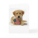Golden Retriever Puppy and Flag cards