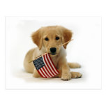 Golden Retriever Puppy and Flag Post Card