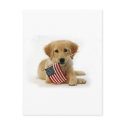 Golden Retriever Puppy and Flag postcards