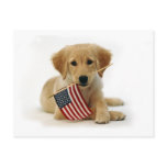 Golden Retriever Puppy and Flag postcards