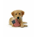 Golden Retriever Puppy and Flag t-shirts