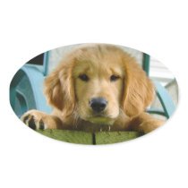 Golden Retriever Puppy Dog Canis Lupus Familiaris Sticker