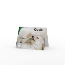 Golden Retriever Puppy Funny Note Card