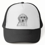 Golden Retriever Puppy hats