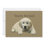 Golden Retriever Puppy Invitation