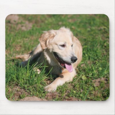 Golden Retriever Puppy Mouse Pads by werglein