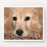 Golden Retriever Puppy Mouse Pads
