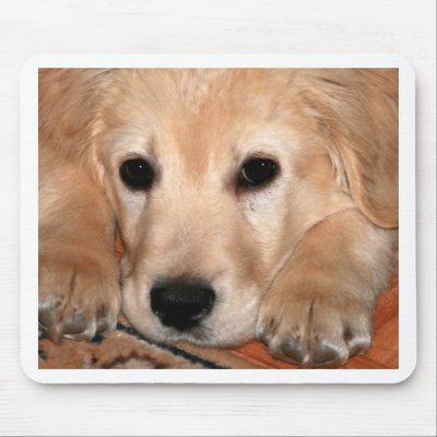 Golden Retriever Puppy Mouse Pads by werglein