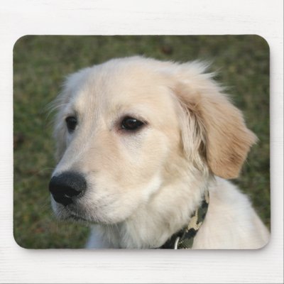 Golden Retriever Puppy Mouse Mat by werglein