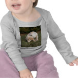 Golden Retriever Puppy Sniffing T-shirts