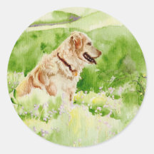 Golden Retriever Round Stickers