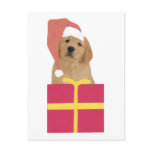 Golden Retriever Santa Hat Gift Box Postcard