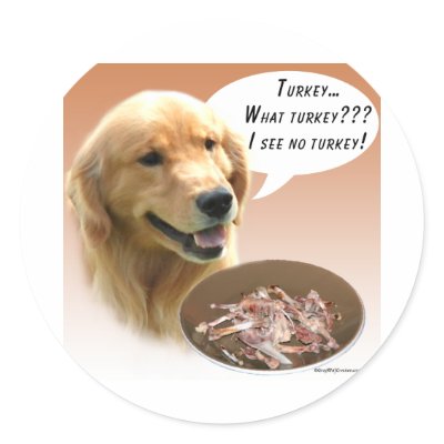 Golden Retriever Turkey Round Sticker by GreyWolfCreation