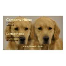Golden Retriever Twins on a Business Card