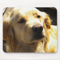 Golden Retriever usepad