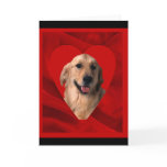 Golden Retriever Valentine cards