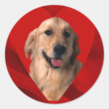 Golden Retriever Valentine Sticker