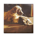 Golden Retriever Waiting For Mum Magnet