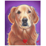 Golden Retriever Wild Dog t-shirts