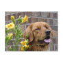 Golden retriever with flowers postcard