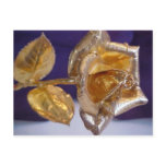 Golden rose - forever love postcards