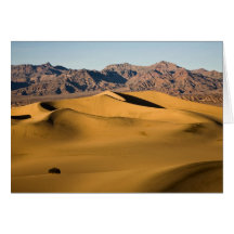 Golden Sand Dunes Greeting Card