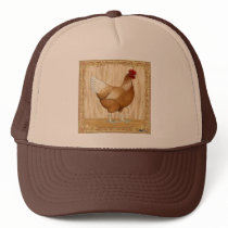 Golden Sex-link Hen