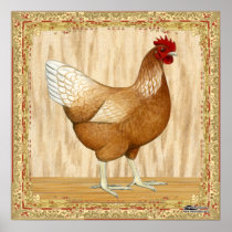Golden Sex-link Hen