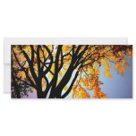 golden sillhouette rack cards