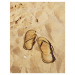 golden slippers on the beach flyer