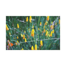Golden Stretched Canvas Print