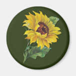 Golden Sunflower Fridge Magnet