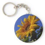 Golden Sunflower