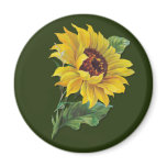 Golden Sunflower magnets
