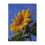 Golden Sunflower
