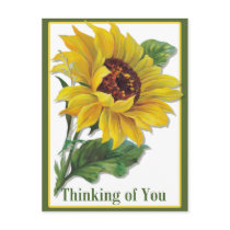 Golden Sunflower Postcards