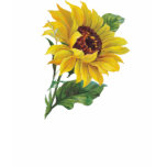 Golden Sunflower t-shirts