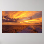 Golden Sunlight print