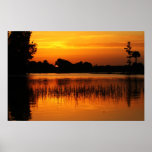 Golden Sunset Behind a Lake posters