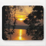 Golden Sunset Between Trees Mouse Pad