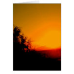 Golden Sunset Cards