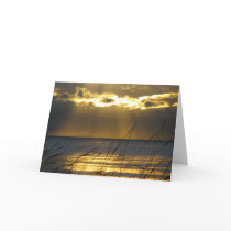 Golden Sunset Cards