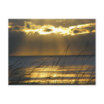 Golden Sunset Post Cards