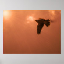golden sunset poster