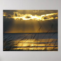 Golden Sunset Posters