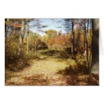 Golden Trail Greeting Card