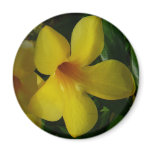 Golden Trumpet Flower Magnet