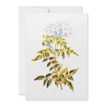 Golden Variegated Jasmine Personalized Announcements