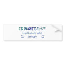 Goldendoodle Bumper Sticker