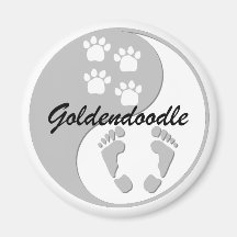 Goldendoodle Refrigerator Magnet